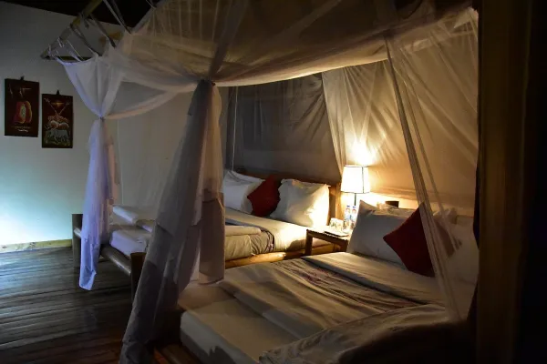 Ishasha Jungle Lodge