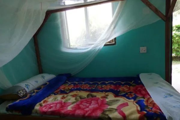 Rwenzori Turaco View Camp
