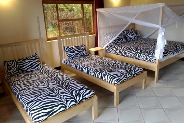 Zebra Safari Lodge
