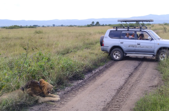 wildlife game safari with uzuri uganda safaris