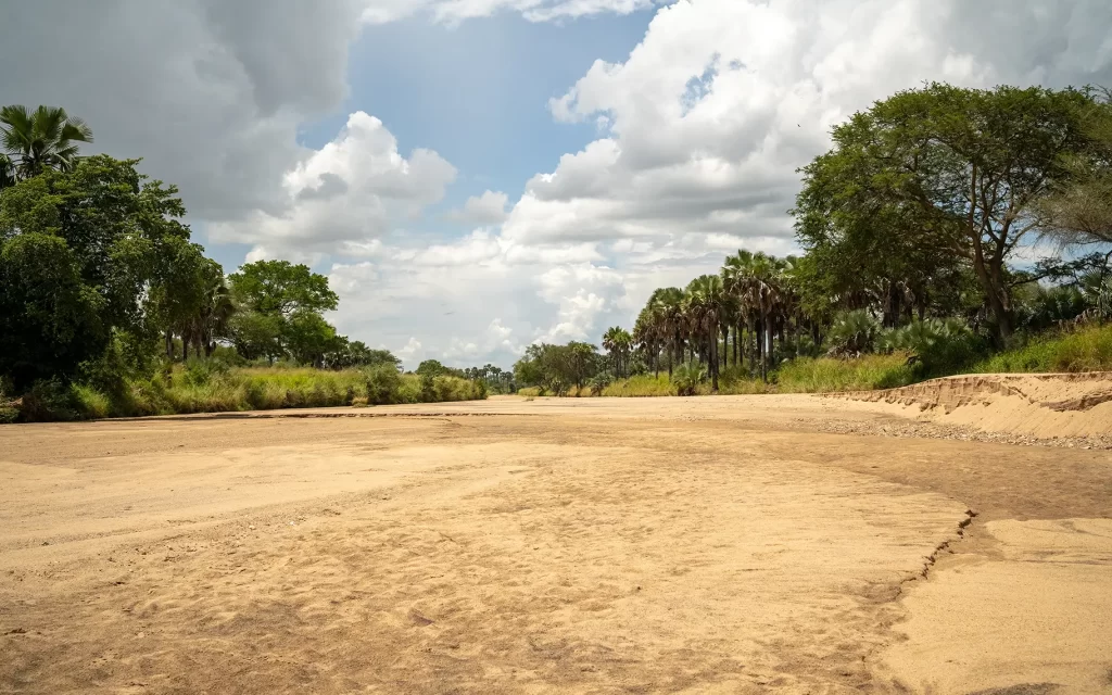 dry river bed kidepo