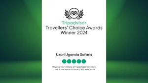 Safari Blog 3 tripadvisor