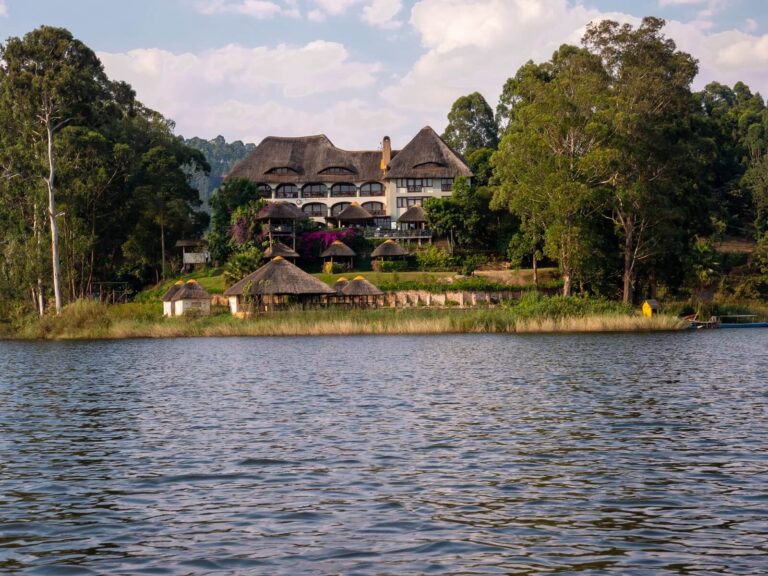 Best Mid-Range Safari Lodges in Uganda 11 Birdnest3