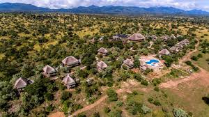 Best Mid-Range Safari Lodges in Uganda 4 adere safari lodge