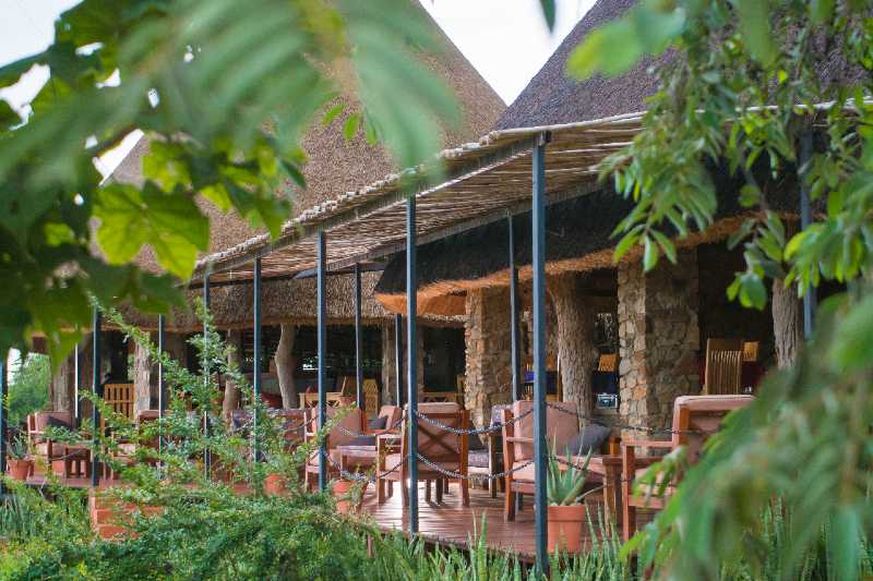 Best Mid-Range Safari Lodges in Uganda 5 kidepo savannah