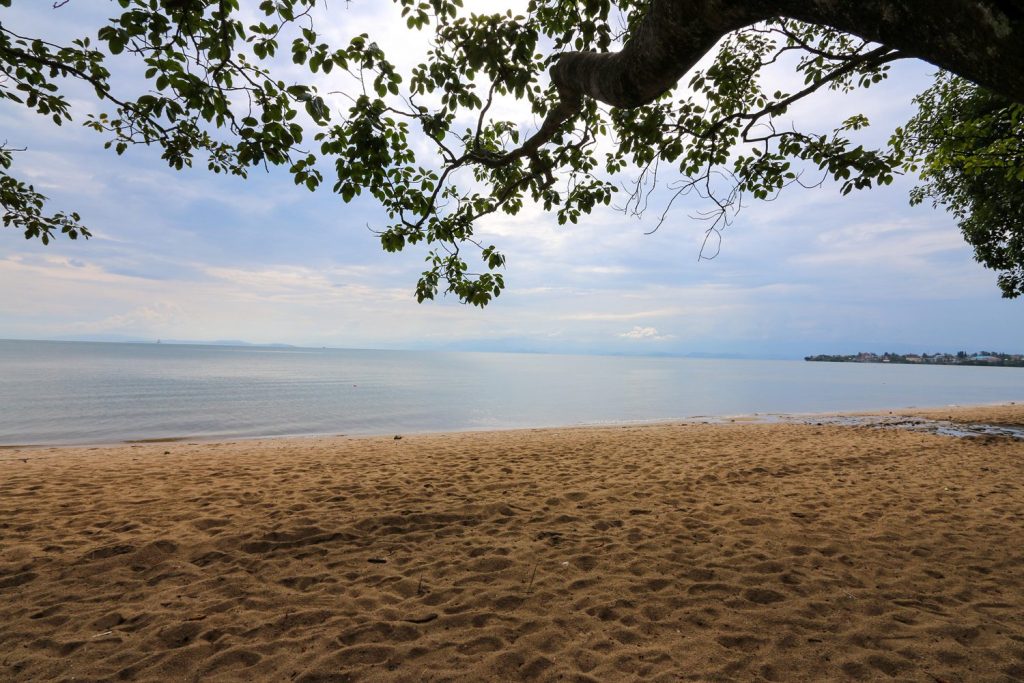 Lake Kivu Rwanda: The Complete Guide to Africa's Most Peaceful Lakeside Escape 2026 2 lake kivu beach
