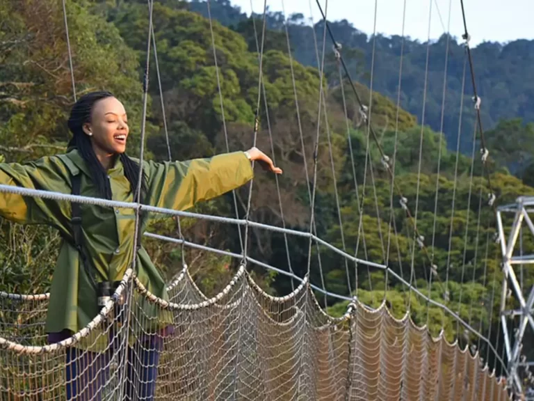 Canopy-walk-in-Nyunghwe-3