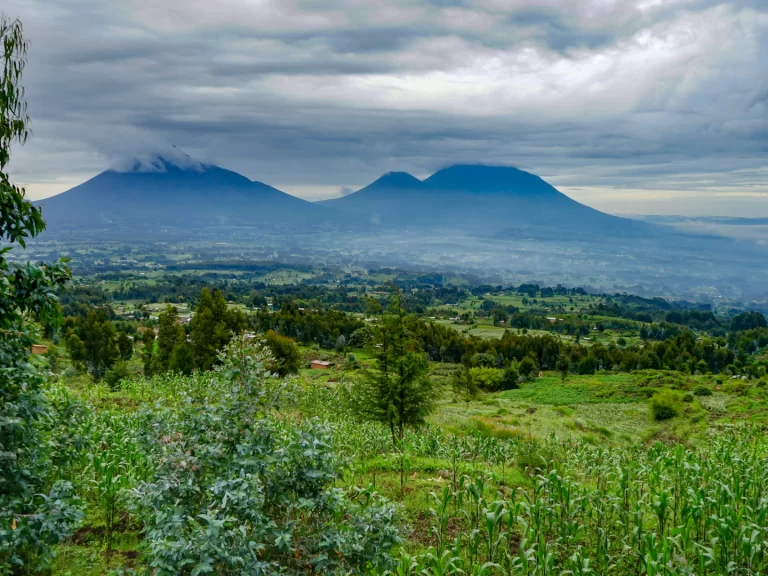 Volcanoes_National_Park_Rwanda Volcanoes_National_Park_Rwanda
