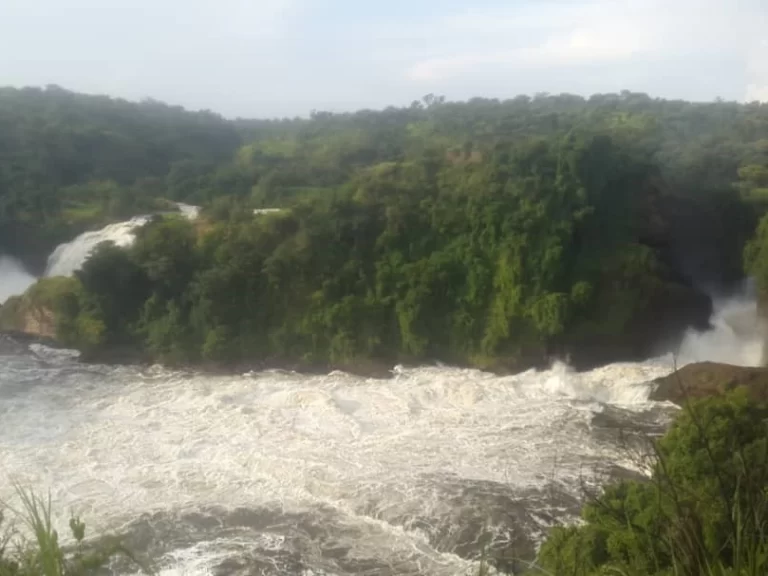 a-picture-of-murchison-falls-national-park