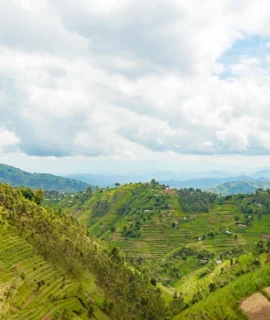 rwanda safari - landscape