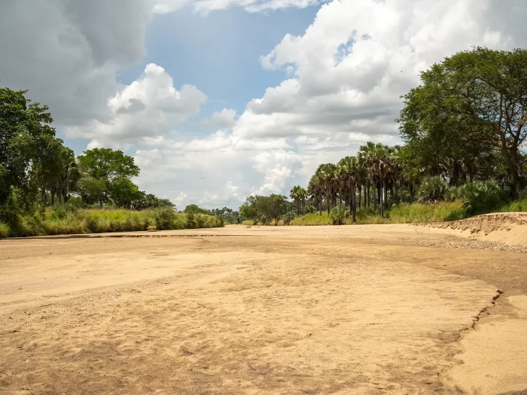 dry river bed kidepo dry river bed kidepo