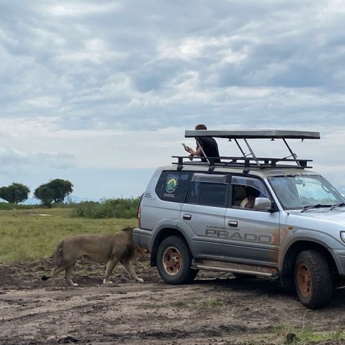 night-game-drive-safaris-uganda